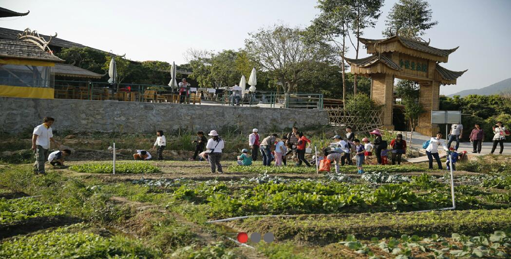 春暖花開，我們去春游！