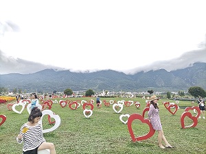 花語(yǔ)牧場(chǎng).jpg 花語(yǔ)牧場(chǎng).jpg