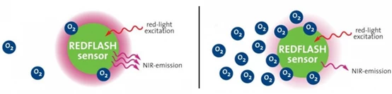 20220711154428.png 20220711154428.png